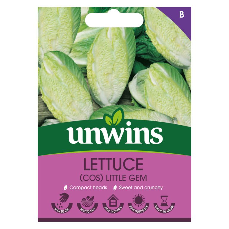 5051618031950 1 Lettuce Cos Little Gem Seeds.jpg